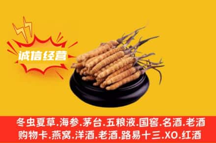 锦州北镇市回收冬虫夏草
